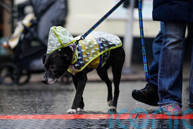 Storm Bram will lead to strong winds and heavy rain, forecasters warn