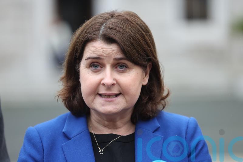 Stricter rules for puppy farms is ‘something people want action on’, Dail hears