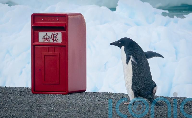 King’s special post box delivery for scientists in the Antarctic