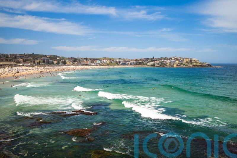 Father and son gunmen killed 16 including girl and rabbi in Bondi Beach attack