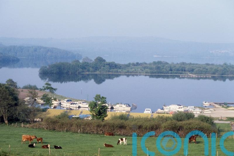 Vigilance urged as quagga mussel discovered for first time in NI