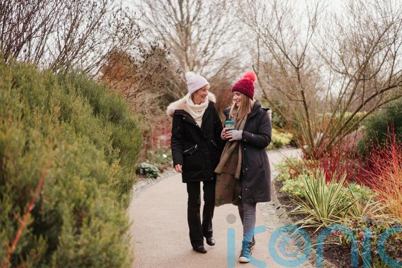 Garden-inspired winter walks to blow the cobwebs away