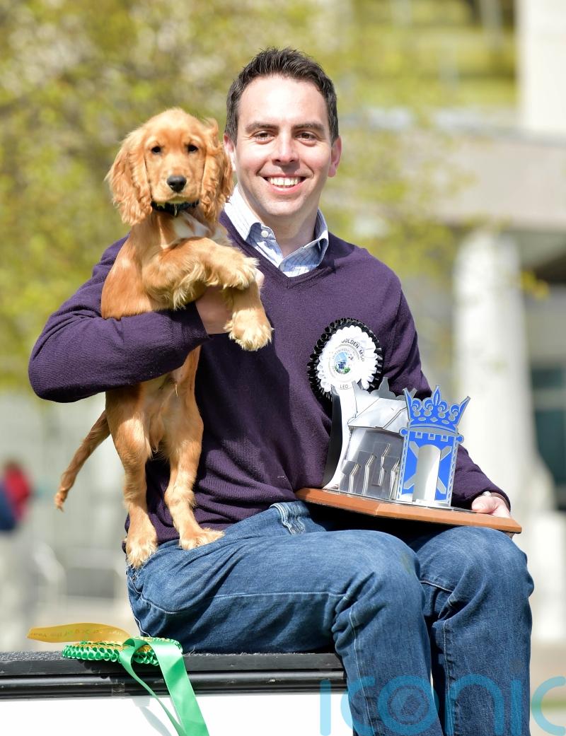 MSPs pass Bill to make dog theft punishable by up to five years in prison