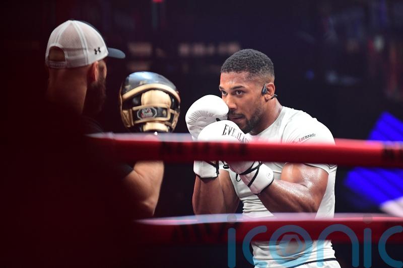 Anthony Joshua says boxers have &lsquo;licence to kill&rsquo; ahead of Jake Paul fight