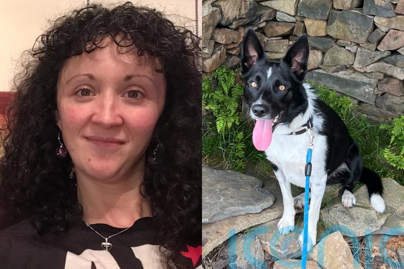 &lsquo;My dog gets spoiled most in the family &ndash; he&rsquo;ll sit with us for Christmas dinner and even has his own mince pies&rsquo;