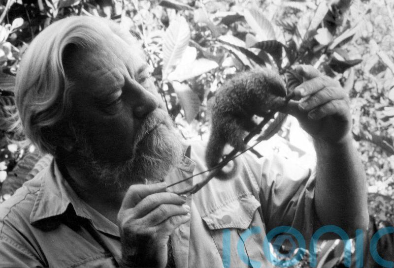 Rare specimens collected by naturalist Gerald Durrell donated to museum