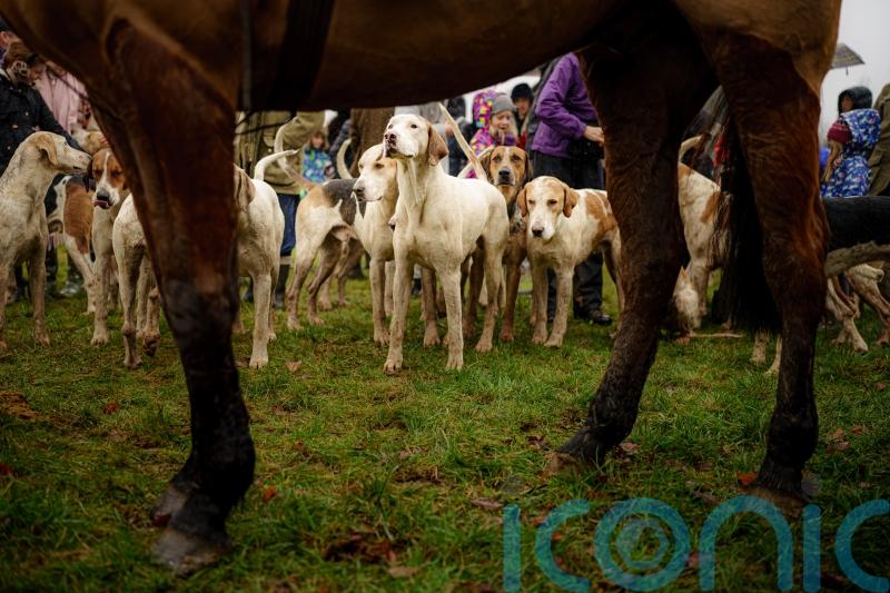 Trail hunting set to be banned for fear it is a &lsquo;smokescreen&rsquo; for harm