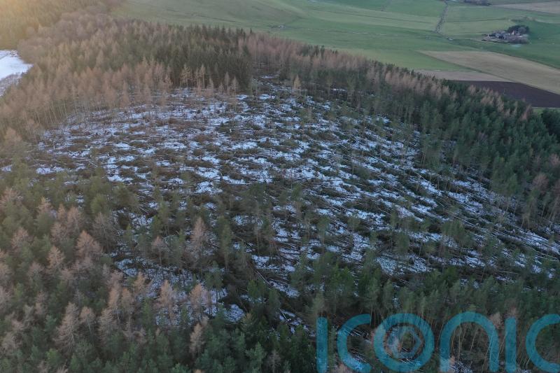 It will &lsquo;take years&rsquo; to fully clear damage from previous storms &ndash; National Trust