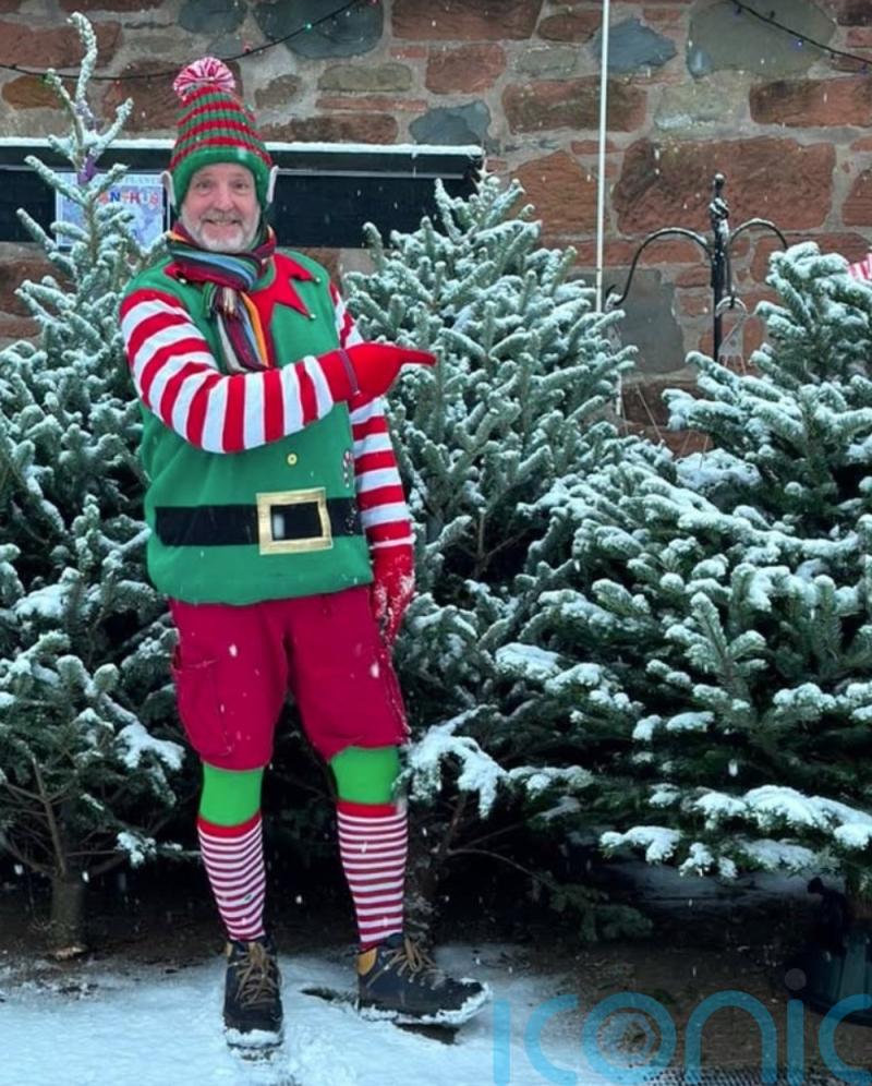 Renting Christmas tree growing more popular to cut waste, says business