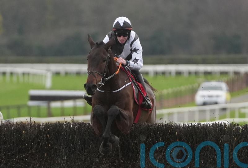 Elliott expects Coolio clues at Leopardstown