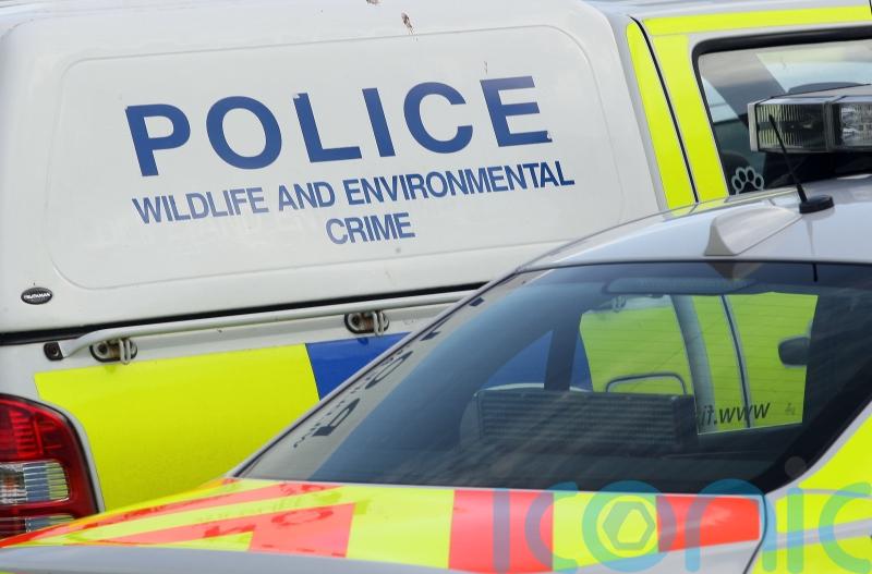 Man dies after van crashes into parked car