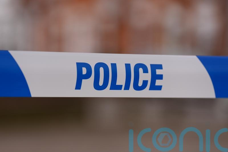 Pedestrian, 85, dies after collision with van