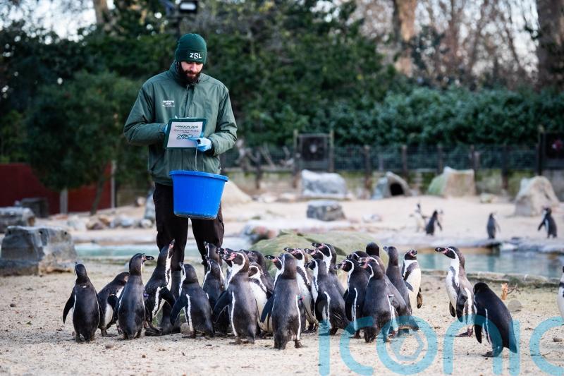 London Zoo celebrates bicentenary with annual stocktake