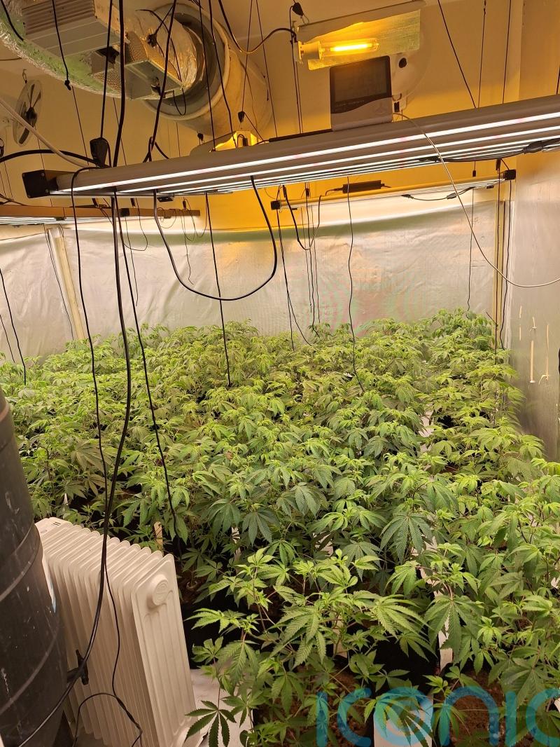 Four arrested after police uncover cannabis factory in Londonderry