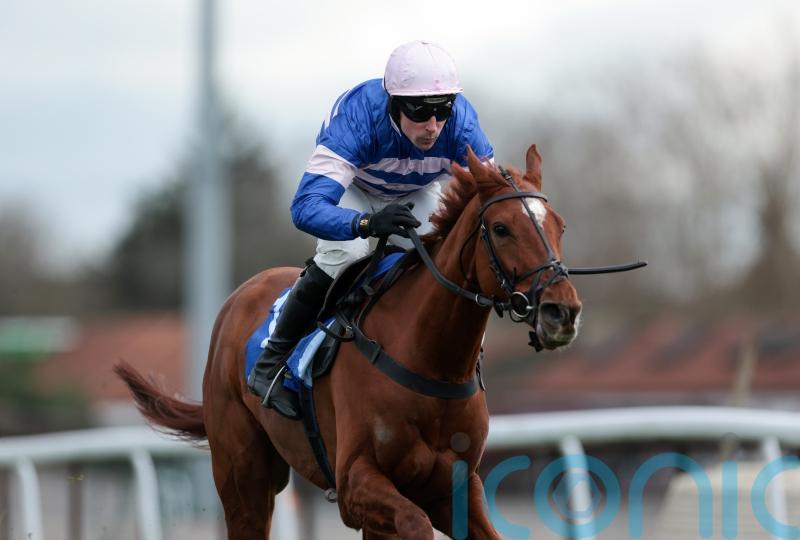 High praise for Precious Man after Kempton triumph