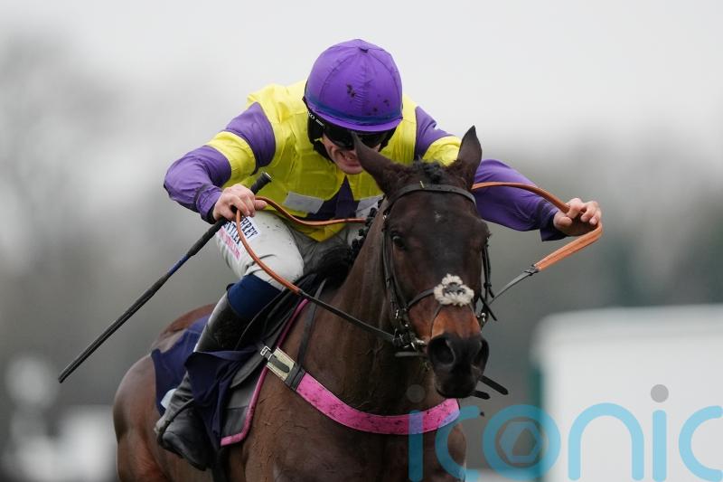 Nemean Lion on course for Windsor defence on Friday