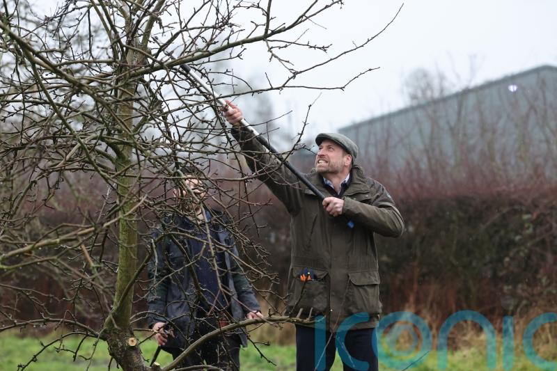 Prince of Wales branches out into tree-pruning on visit to family farm