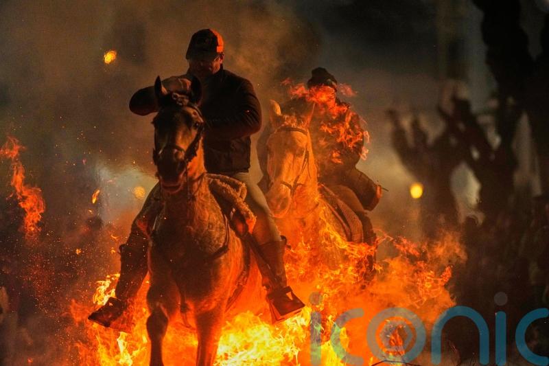 Horses leap through flames and pets blessed in honour of patron saint of animals