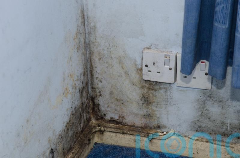 New rules will protect tenants from damp and mould, Scottish Government says