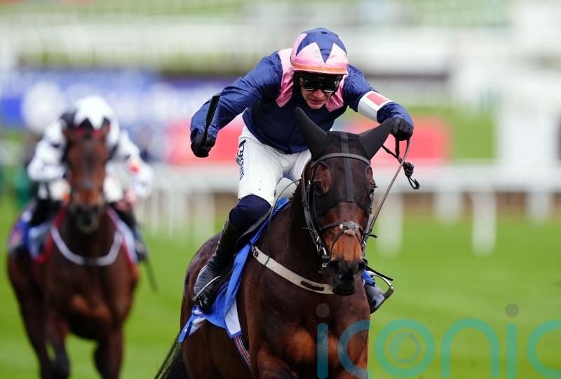 Kopek reported to be doing well as Leopardstown looms