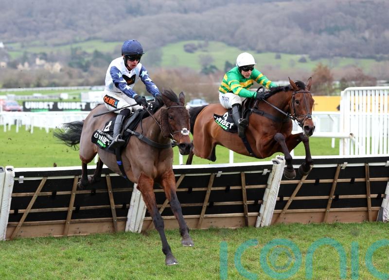 The New Lion wins Unibet Hurdle, but Cheltenham feature marred by Sir Gino injury