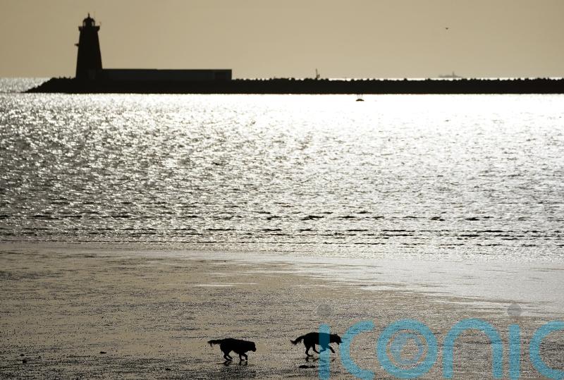 Man in 80s dies in stormy water off south Dublin coast