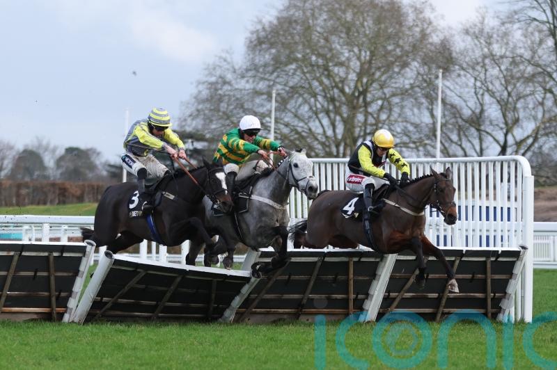 Snowden hopeful Conquiere can can make at impact at Cheltenham