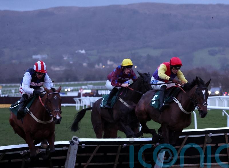 Kripticjim options for Tizzard in wake of Cheltenham success