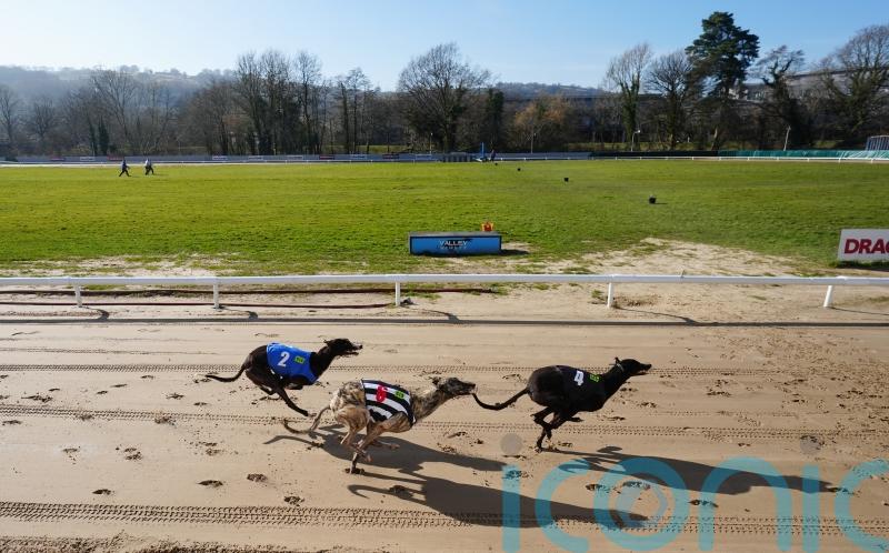 MSPs back greyhound racing ban at first stage