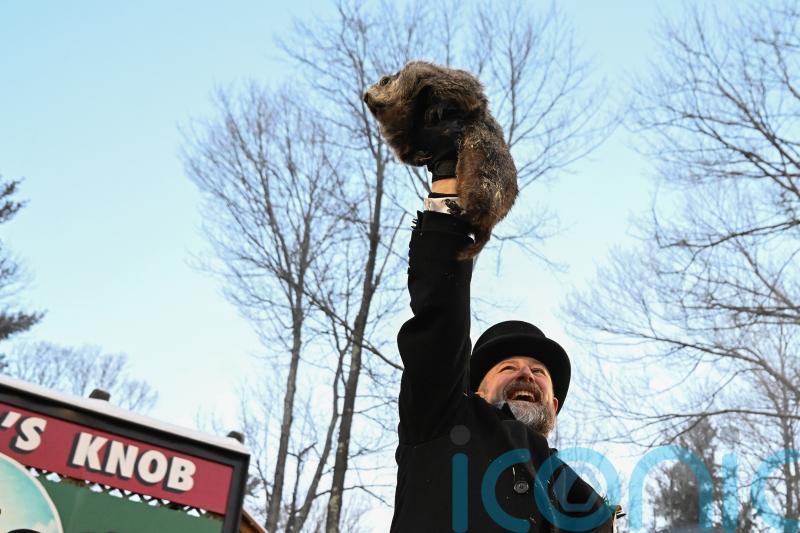 Crowds gather to see Punxsutawney Phil predict the weather on Groundhog Day