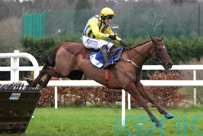 Doctor Steinberg far too good at Leopardstown