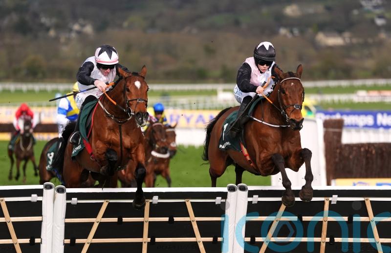 Staying stars Teahupoo and Bob Olinger counting down to Cheltenham