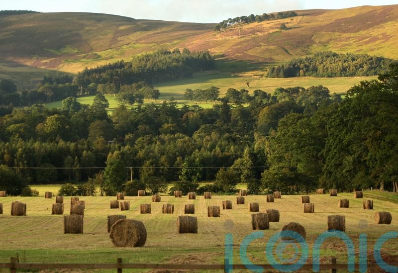 First Minister pledges to &lsquo;secure bright future&rsquo; for Scotland&rsquo;s farmers