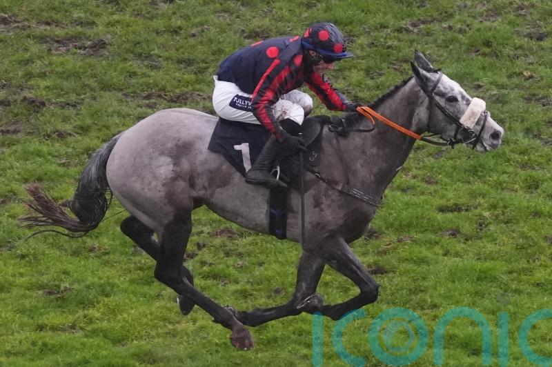 Dawson likely to resist Cheltenham with A Likeable Rogue