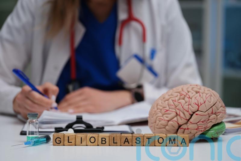 &lsquo;Hidden vulnerability&rsquo; involving vitamin B uncovered in aggressive brain cancer