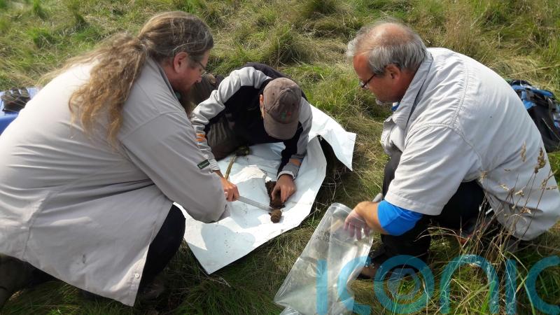 Deep soil in forests may store carbon less effectively than thought &ndash; study