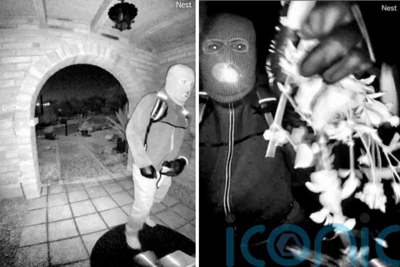 Man quizzed over disappearance of Nancy Guthrie released