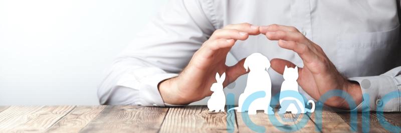 Is it possible to make vet bills less brutal?