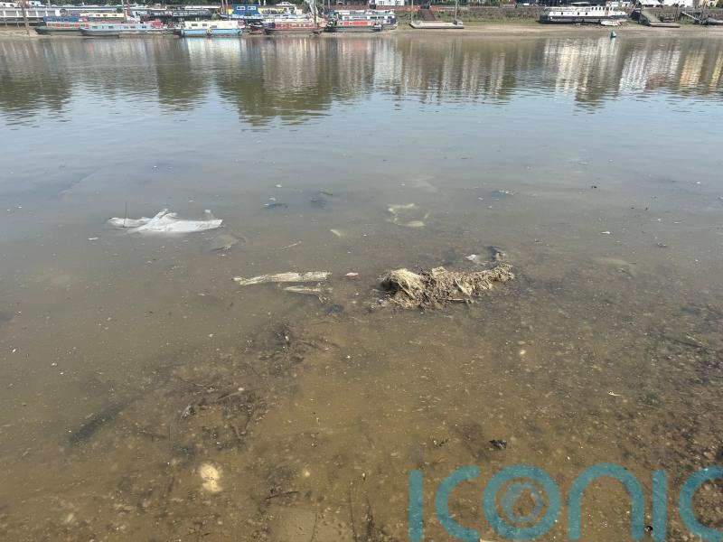 Wet wipes containing plastic to be banned next summer