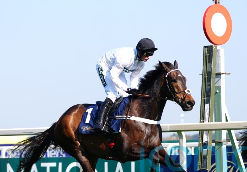 Constitution Hill part of bumper entry for Southwell on Friday