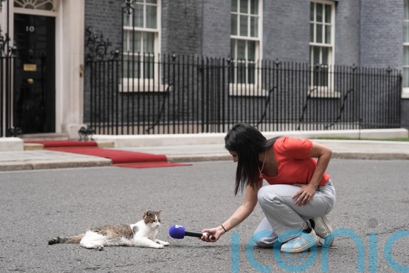 Larry the cat marks 15 years as No 10&rsquo;s chief mouser