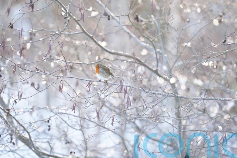 Ice warning in force as flooding expected in more than 70 areas