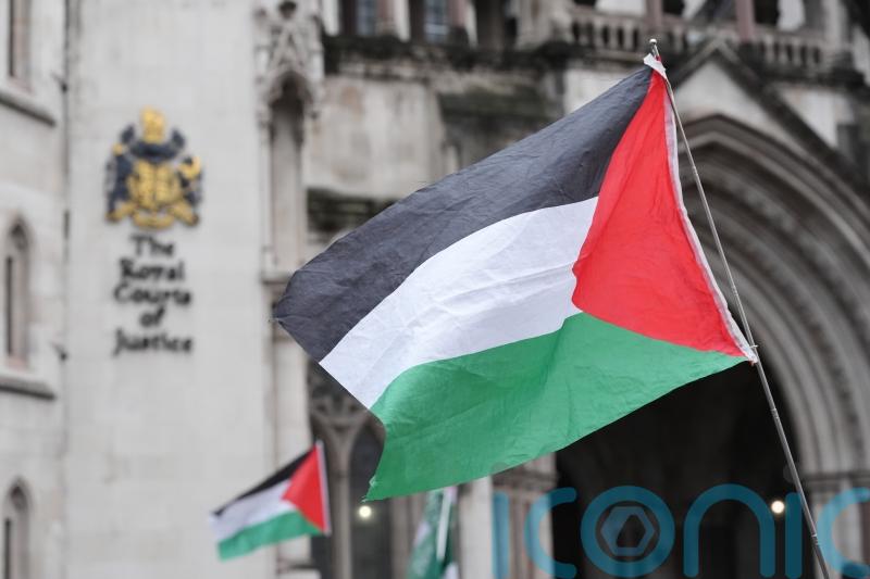 Palestine Action cases adjourned until appeal concludes, Chief Magistrate says