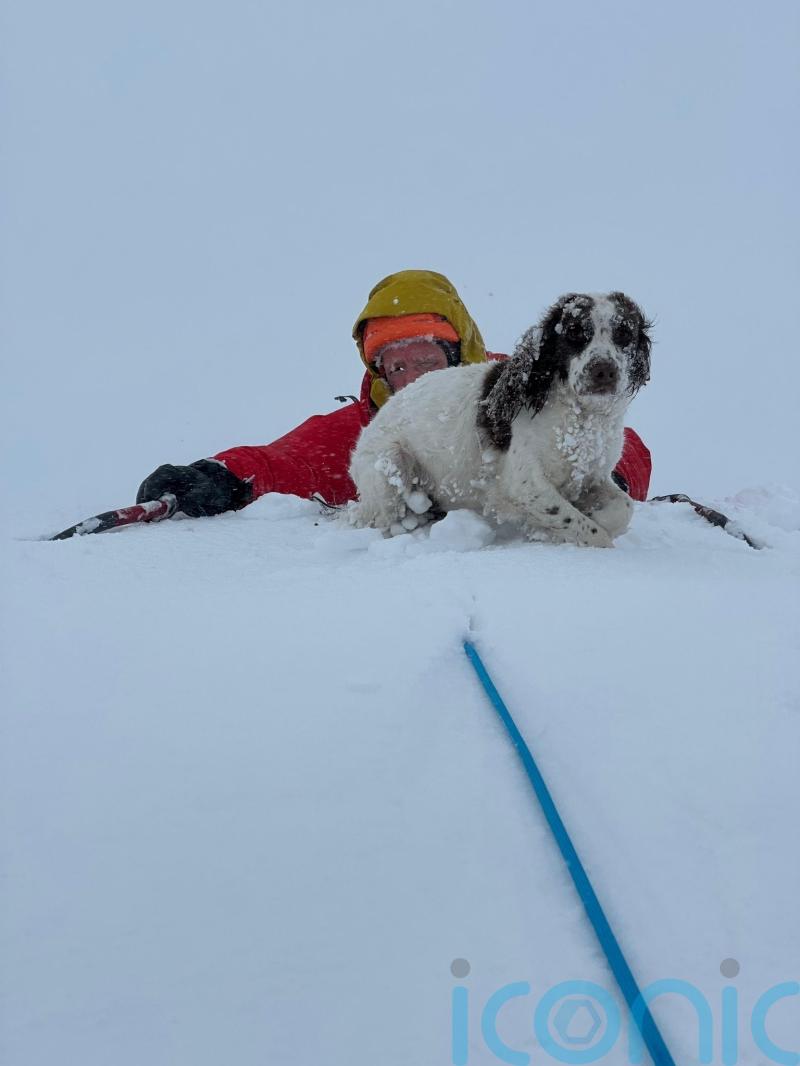 Rescuers find dog after night on freezing Highlands mountainside