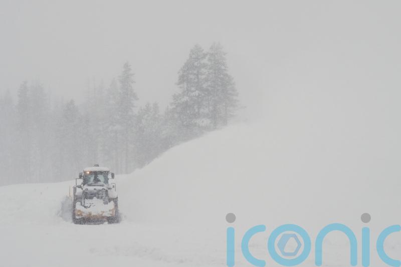 Eight skiers found dead and one still missing after California avalanche