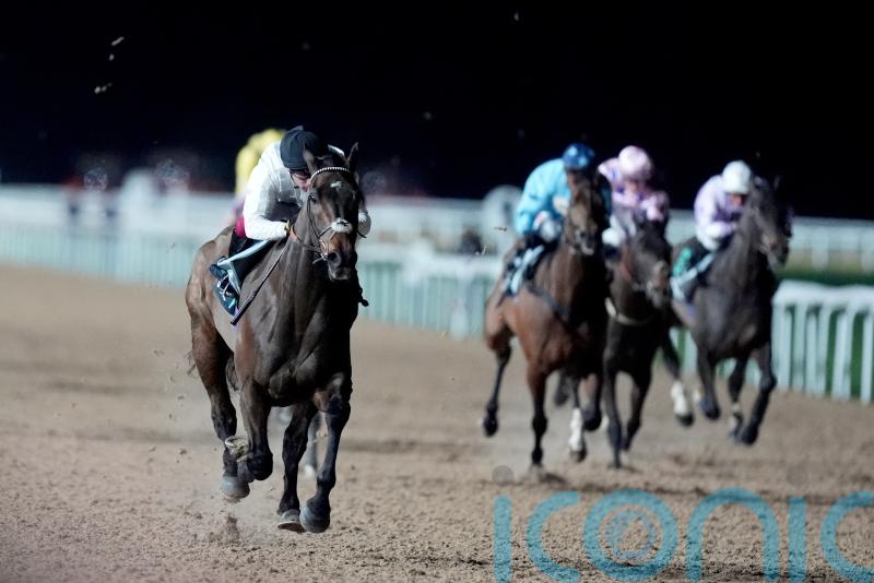 Henderson fully aware of what is at stake with Constitution Hill