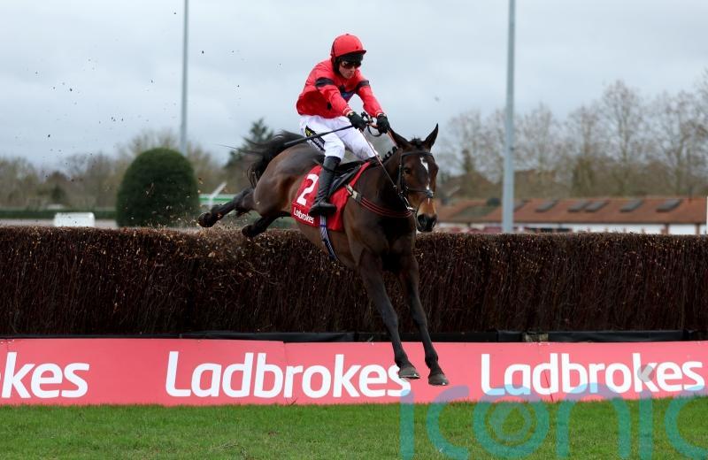 Jax Junior the pride of Pendil for Lucy Wadham