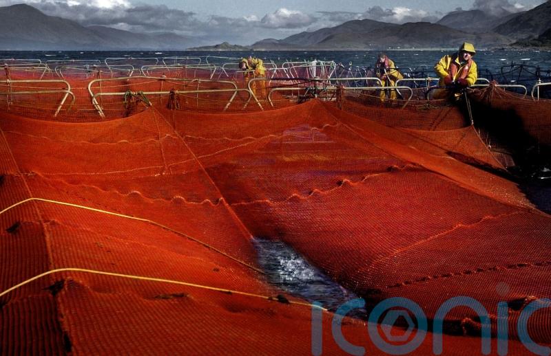 Scotland to send fishing net to Ukraine to defend against Russian drone attacks