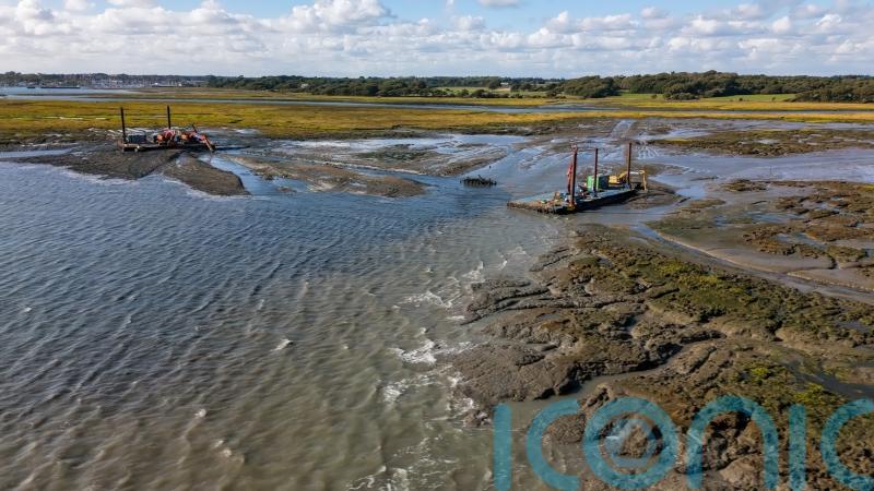 Harbour-dredged mud used for &lsquo;remarkable&rsquo; restoration of protective saltmarsh