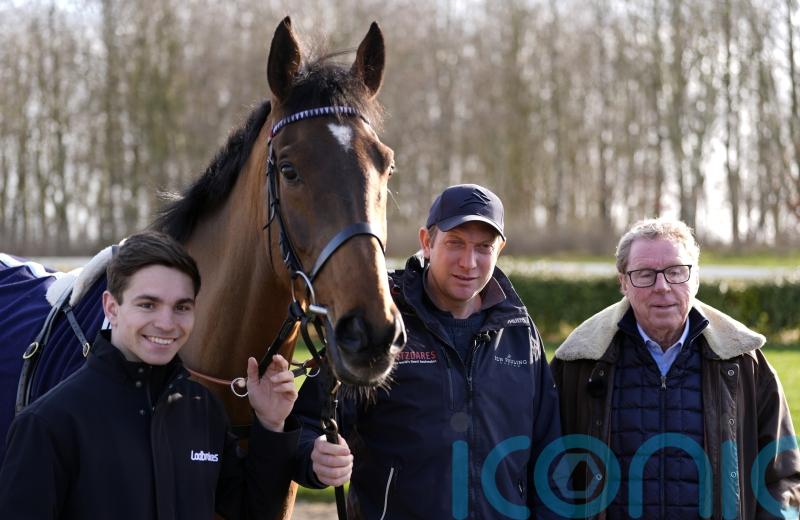 The Jukebox Man hitting the right notes ahead of Cheltenham